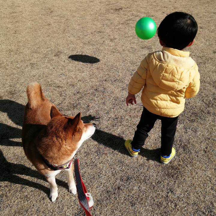 Ad9b1e4b 05af 4ff1 8d2a 141665f6cdb6 1612425711879