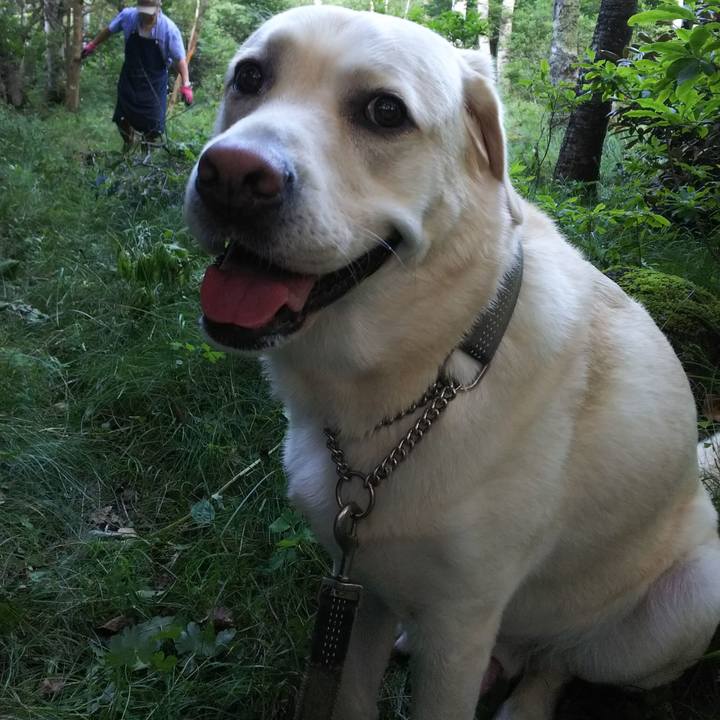 Ad9b3fe3 22c9 4a91 bebd a2cb42f88e62 1566033455915