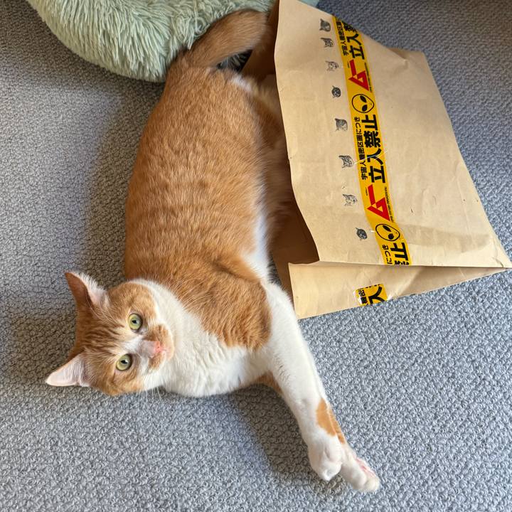 Ad9ba095 3be1 47b0 9445 e1a7f818791d 1770259032489