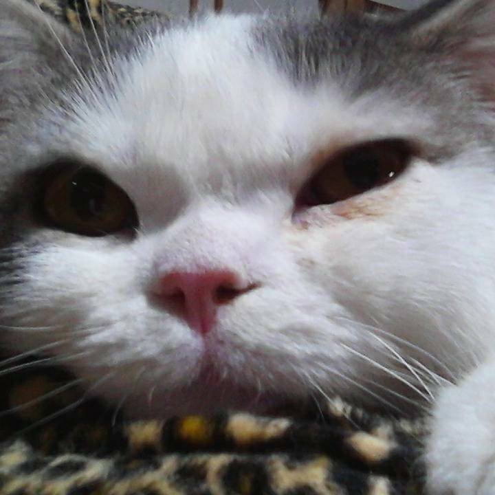 Ad9bad92 307e 4e43 92dd 50d5e43b2c9c 1545474449147