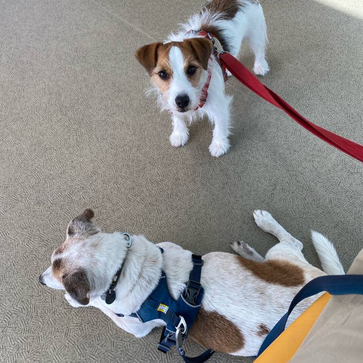 Ad9bdf59 fef0 4cb9 933b cdb7f5fcf9e7 1684546337152