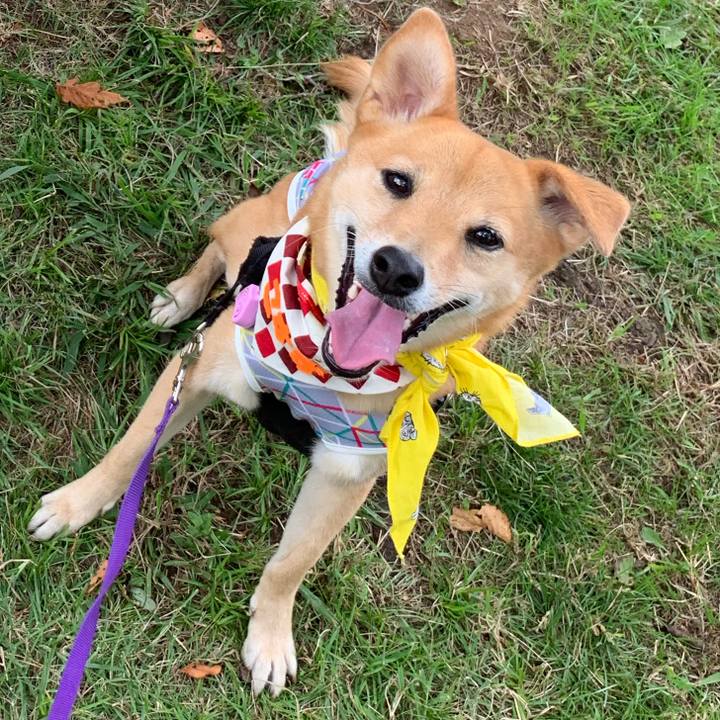 Ad9c0ffc 75e3 4872 a8ff 0467b971cfee 1569680465369