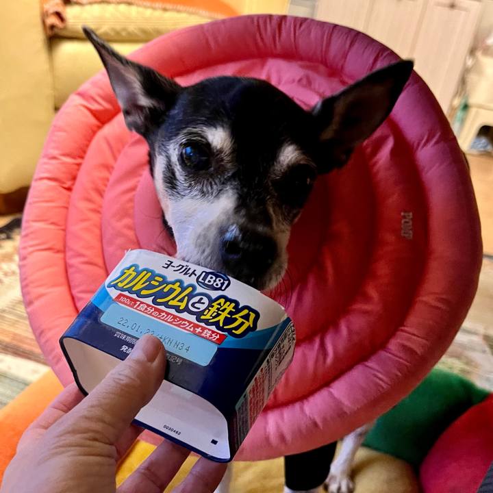 Ad9c4fe1 2f7c 4d14 a417 c6a38bb0451e 1642996839521