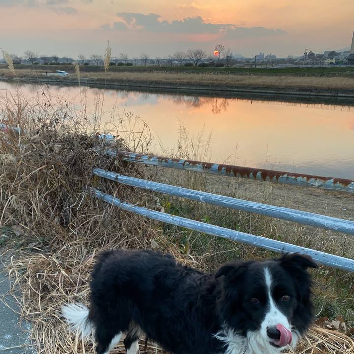 Ad9c5141 fef2 4ba6 9995 de5a1253ee82 1641199345436