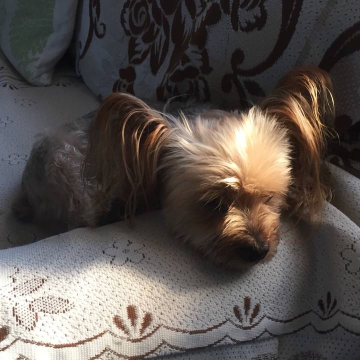 Ad9c5161 3423 41f6 b757 554c18d43d3f 1538604366464