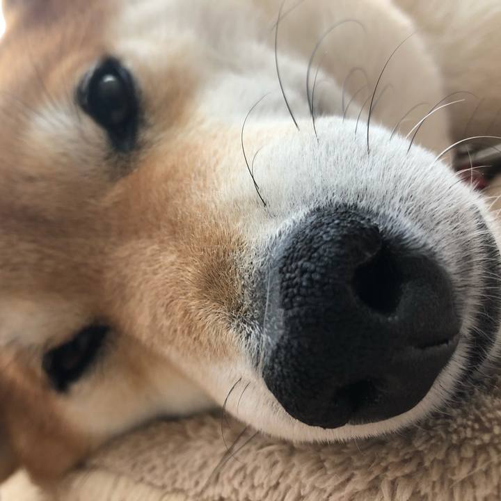 Ad9c639e 59d7 4f2e 952d 011414bc3b78 1582956204424