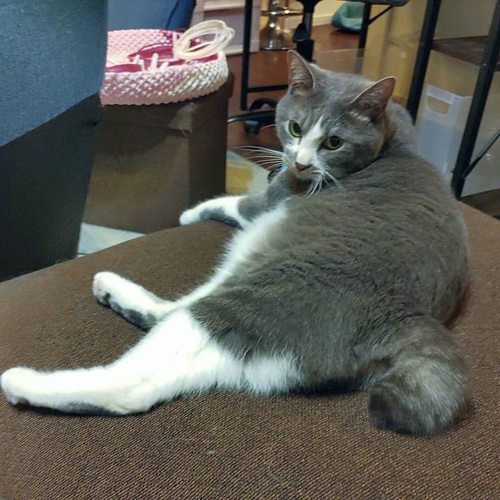 Ad9c6c3b 23d7 4363 b1fe 35b1a4862c39 1654260082819