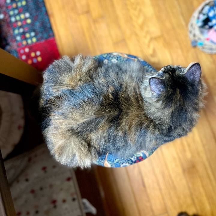 Ad9c79db fb2f 4144 86d4 d397b9e6d958 1688387107815