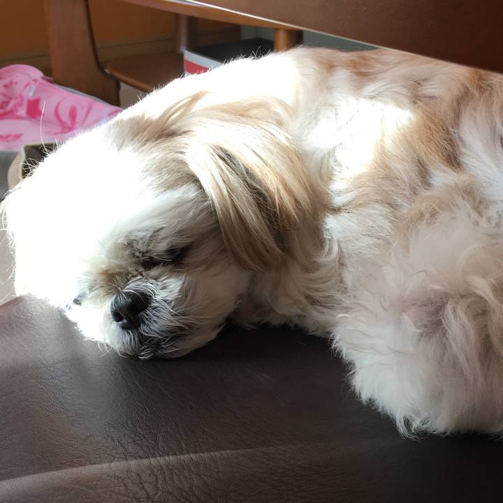 Ad9ca35c 085f 4284 948b edbb3fa8268a 1609995494634