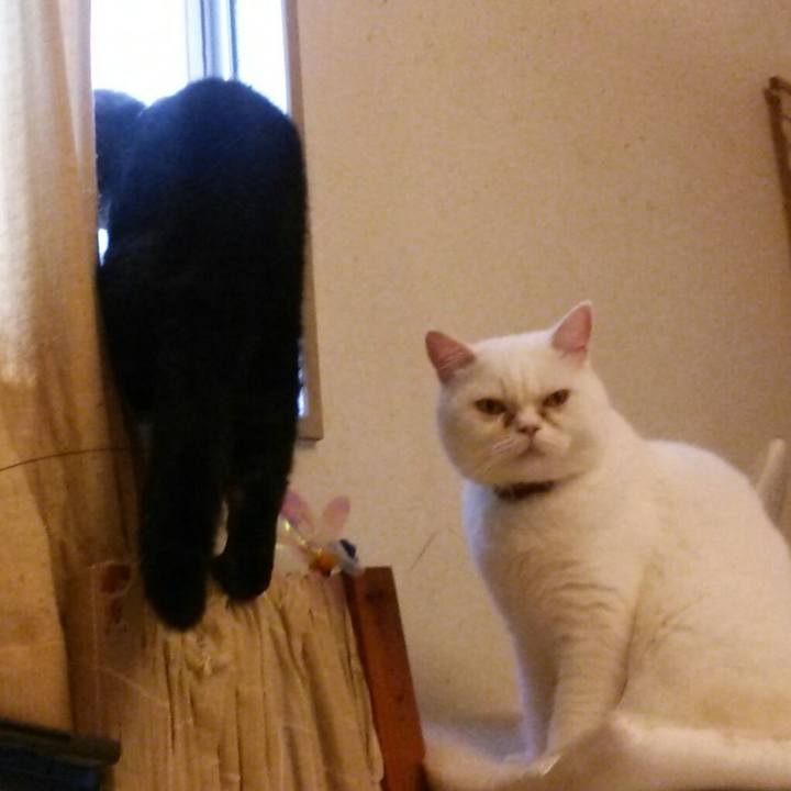 Ad9ced3a eb96 4a7c 9d9f eb900f6a0683 1509208818593