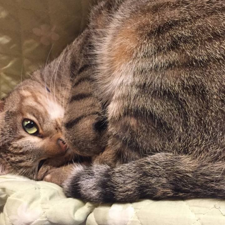 Ad9cf3f3 dccd 4340 b0fc 51c744fb95c1 1509170103773