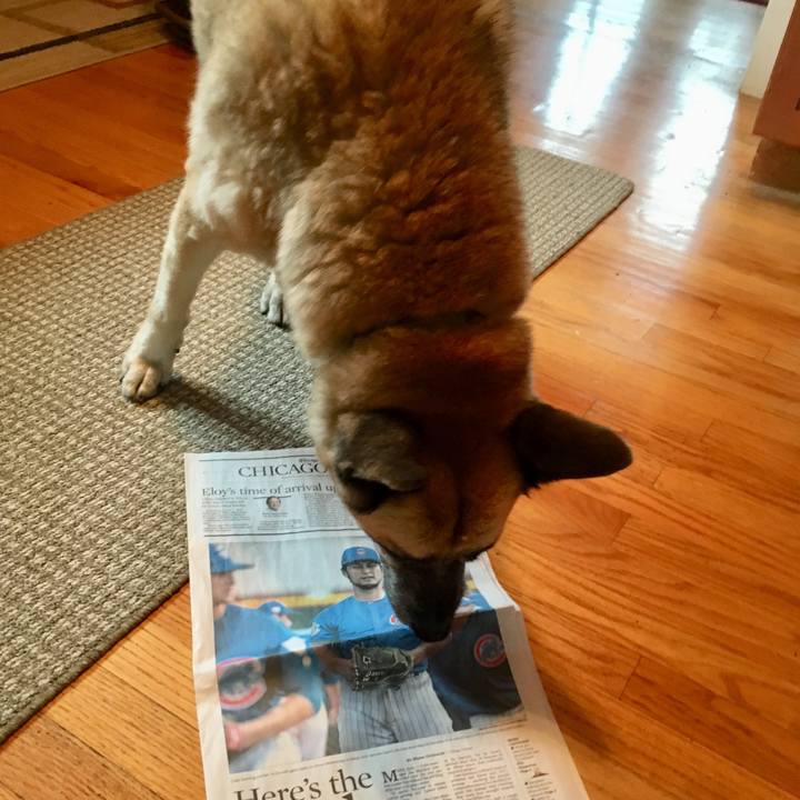 Ad9d068a a14b 4775 8249 50aea8f39a35 1550707127279