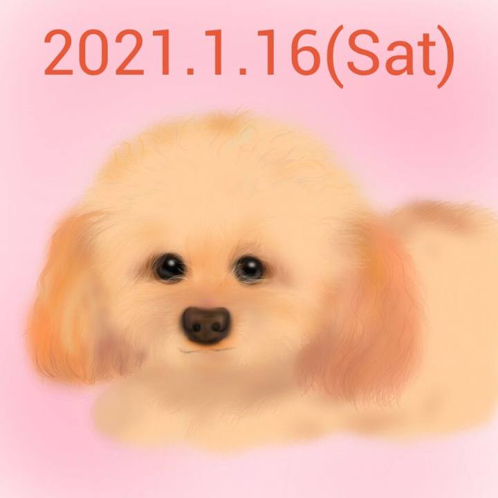 Ad9d31e6 a1f5 40cb adfa 391df69fe760 1610784230559