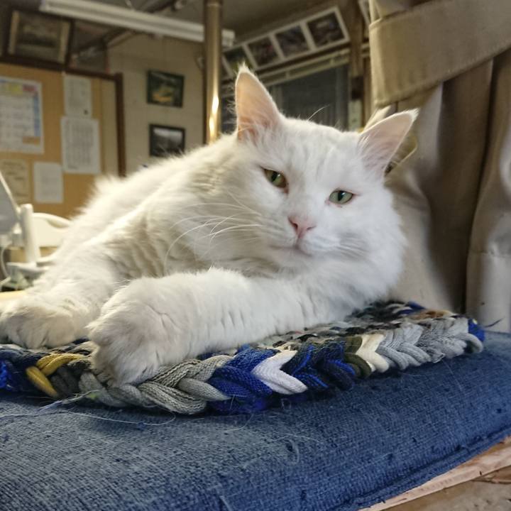 Ad9d4381 b804 4573 bf3d dbab4c0efa18 1540851874026