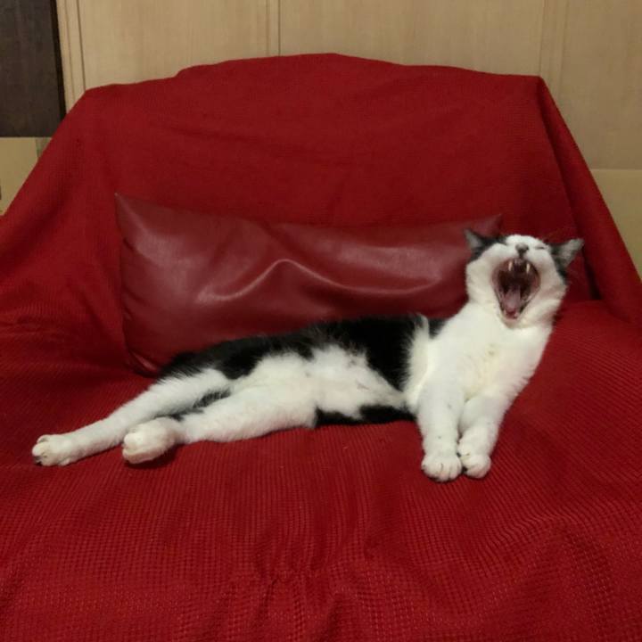 Ad9db081 f970 4313 9a55 3ac875ca9f57 1560534700366