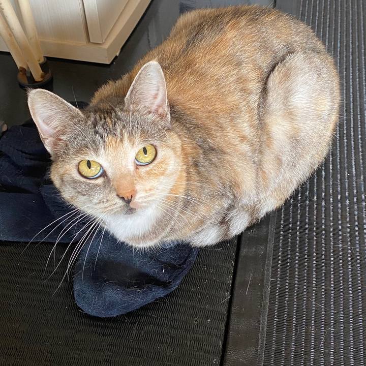 Ad9db557 9add 417c 9398 8544568c080b 1586301540366