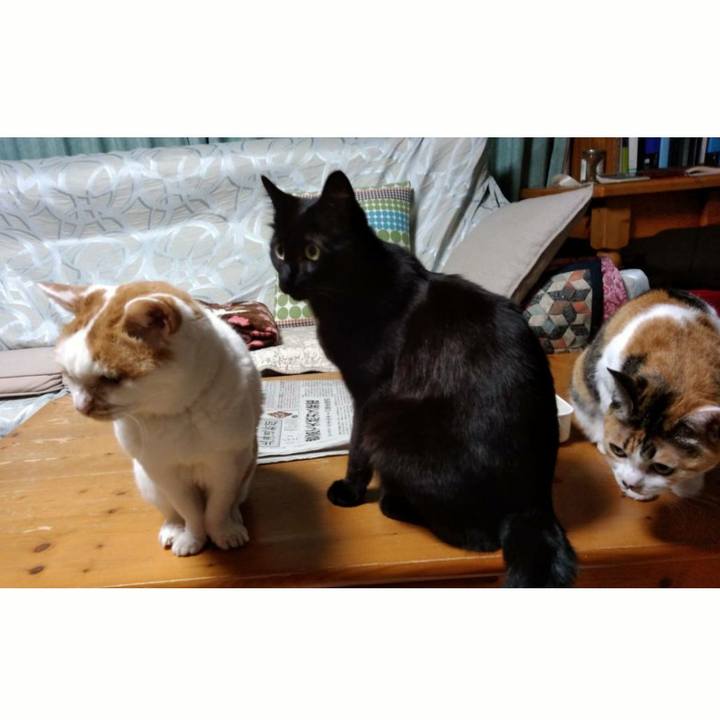 Ad9dbdf1 8d46 401f ad00 a2d453574f6f 1542461083814