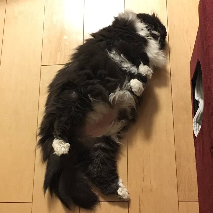 Ad9dcdb3 94f7 44da a887 dd987a11b72c 1565706661069