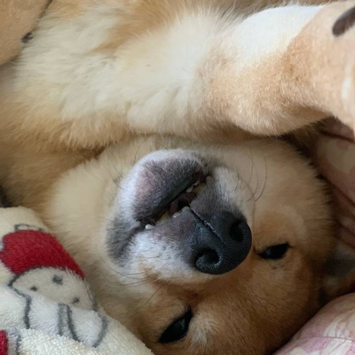 Ad9deada 755a 4d66 8552 76d9def63e0f 1774311480229