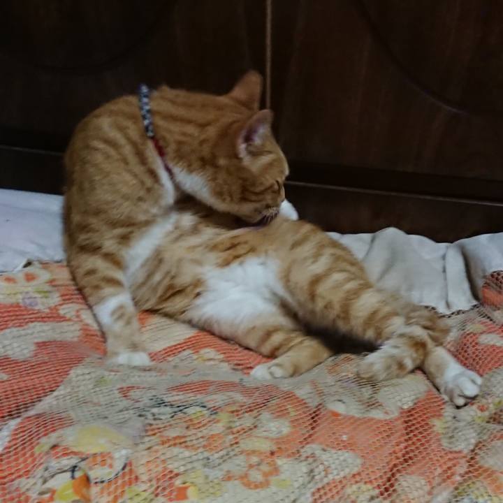 Ad9dedd8 b50d 40c5 ac83 441a5a6e9112 1570796560672