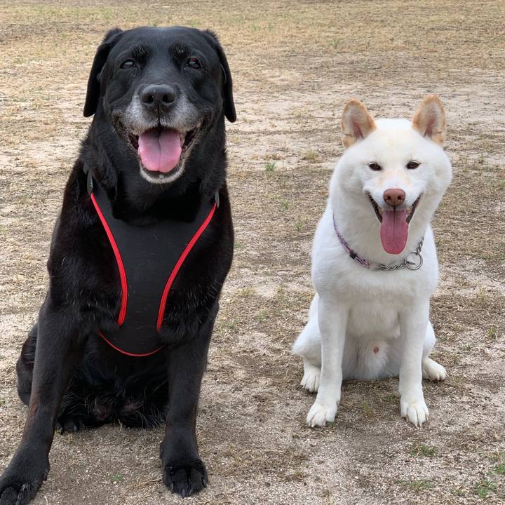 Ad9df179 a354 4ca5 b293 afc877ebc146 1558827985345