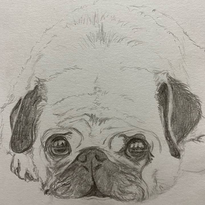 Ad9e0b0e 77e1 4d54 a9c1 ef063c30d97f 1625065107686