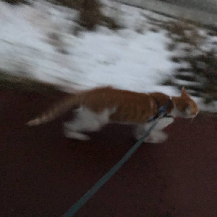 Ad9e1243 f464 47b2 bfae 48cb428112fc 1514707023456