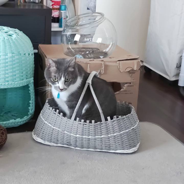 Ad9e24d6 3dfd 48b7 966b 146082500fa3 1659234909301