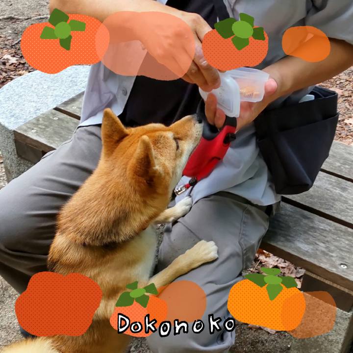 Ad9e24da 5c33 4ddb 811b eb1628d4fd78 1762154435411