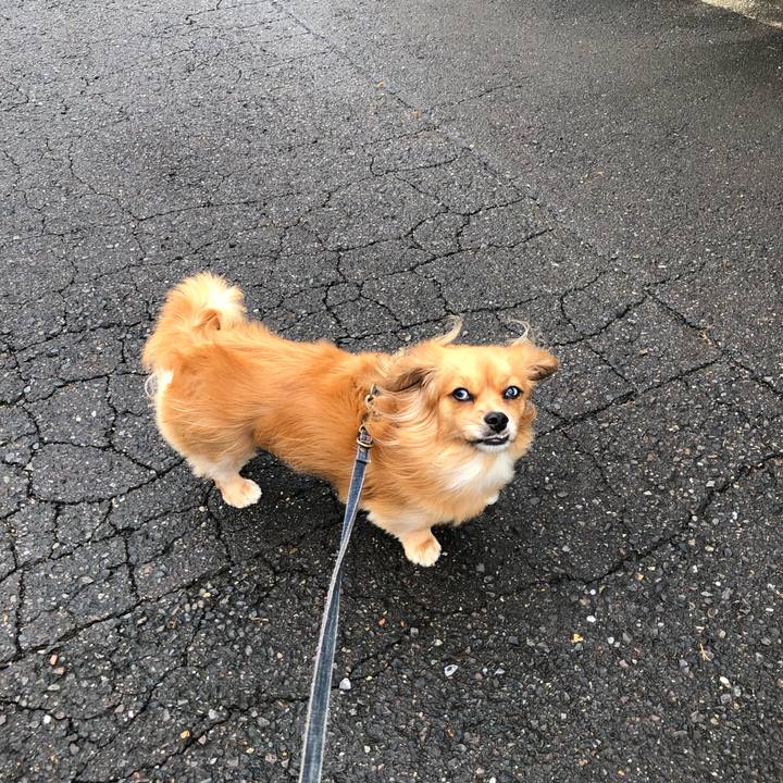 Ad9e38c0 73b3 4e8a b3a2 5c303cf0949a 1569196434132