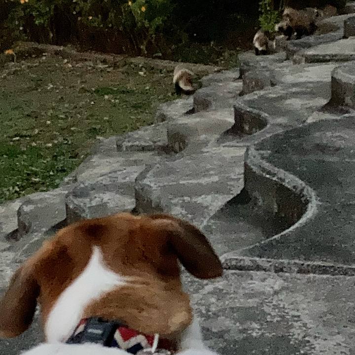 Ad9e40d7 820e 4371 931e d62b7bdb1d6c 1668044578381