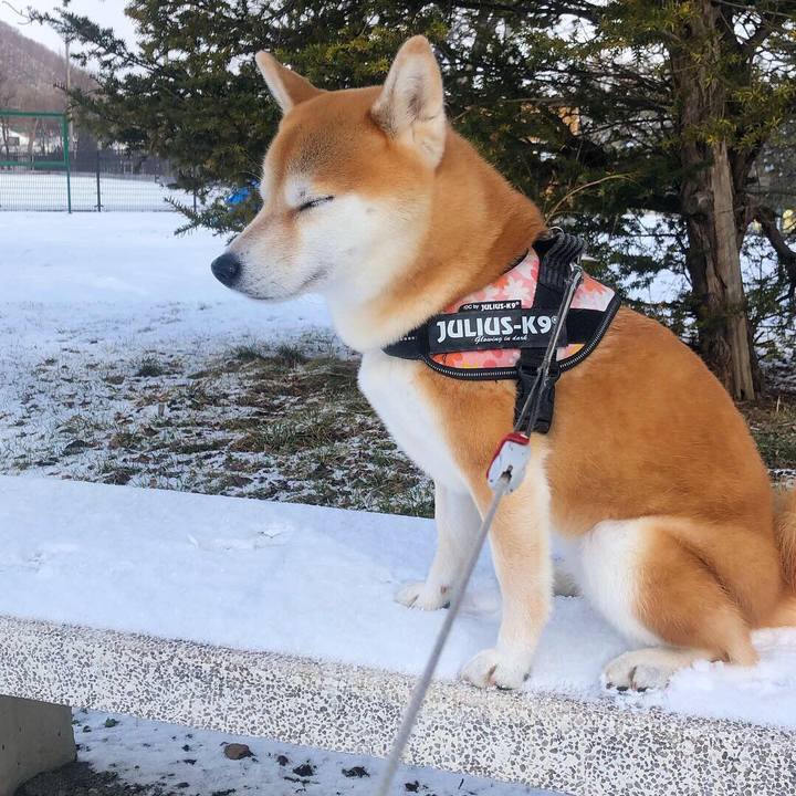 Ad9e8e7f 7e8c 4479 8c60 bc83af436281 1553737653386