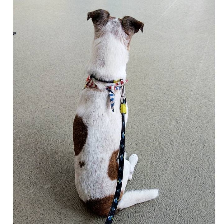 Ad9ea8fc 2419 4168 89cb ecd528b1a311 1564713695741