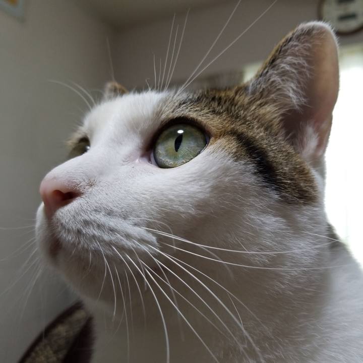 Ad9eb167 da60 421b b1f1 c3591e392864 1567211593953