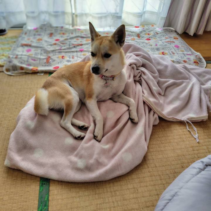 Ad9eb2b3 6c64 48a0 84d5 de55e6c7dfc7 1768809906301