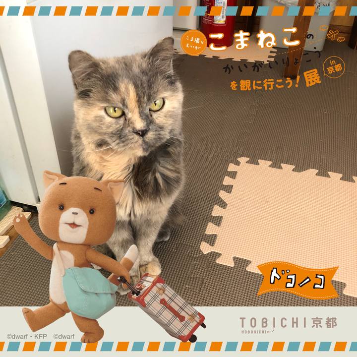 Ad9ec574 a0e4 4e9f 9912 297e5295b5c7 1740196406193