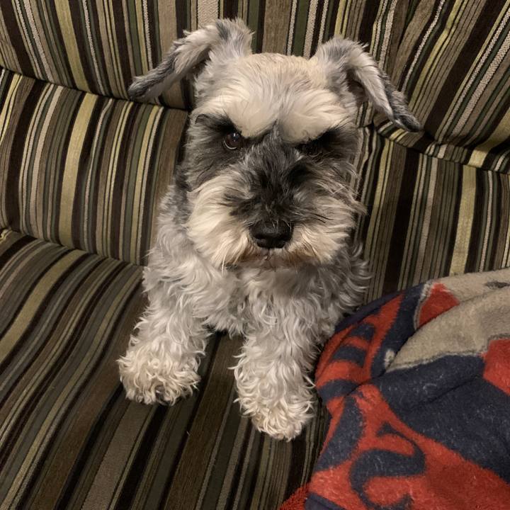 Ad9f0b78 8a5e 482d 873f 6cb044a4ed83 1650010772515