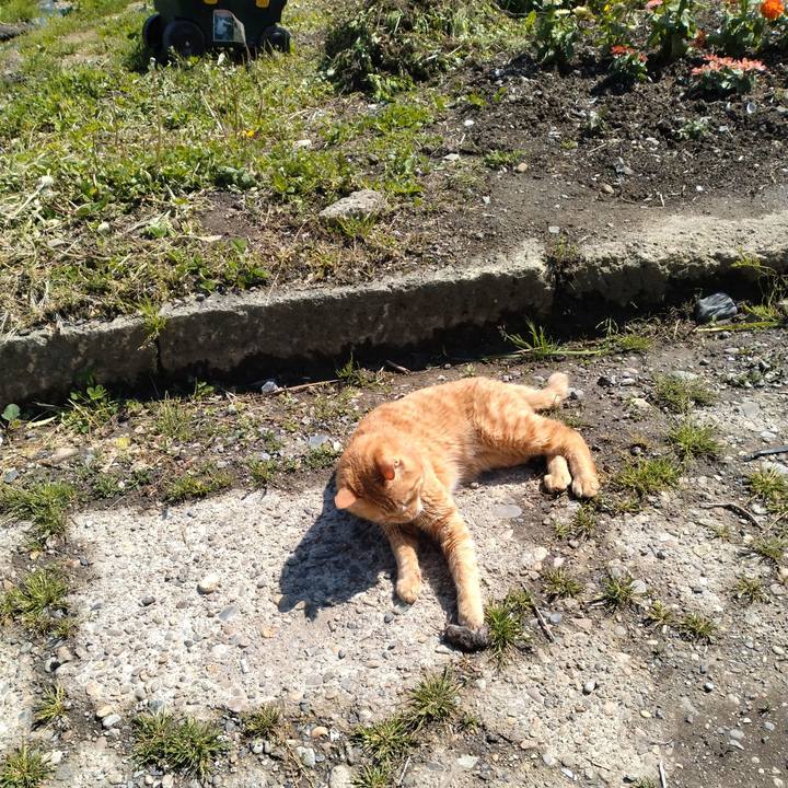 Ad9f3ec6 2034 4c91 813c 8e206e3ab5f5 1683608752435