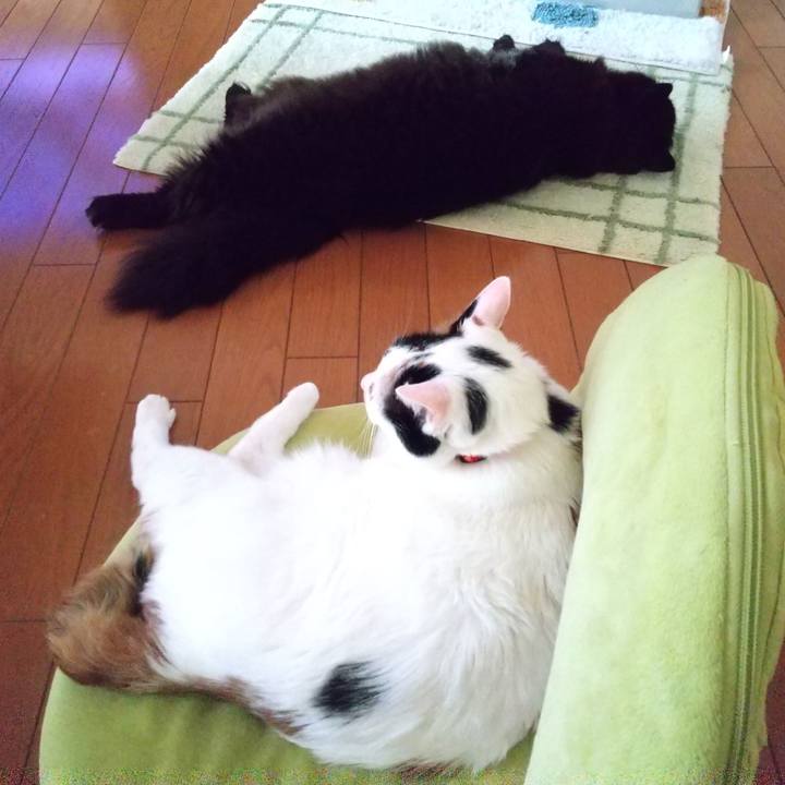 Ad9f59c7 865f 4cc5 89ca 474a0f4ec66e 1615591946422