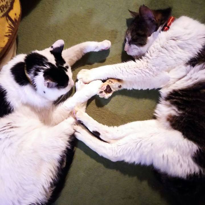 Ad9f5a11 dd67 4699 afe3 869a8a74463d 1577284882212