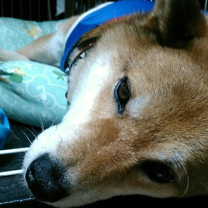 Ad9f807f 5092 4869 92f4 973fa643db96 1530201298387