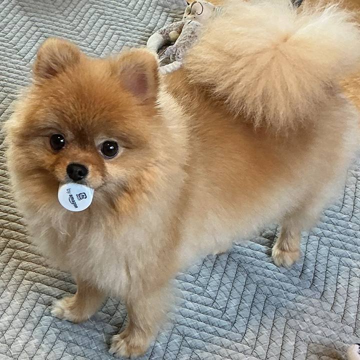 Ad9fc5a8 68e5 432c 9309 6df5ff26eaf9 1755303701248