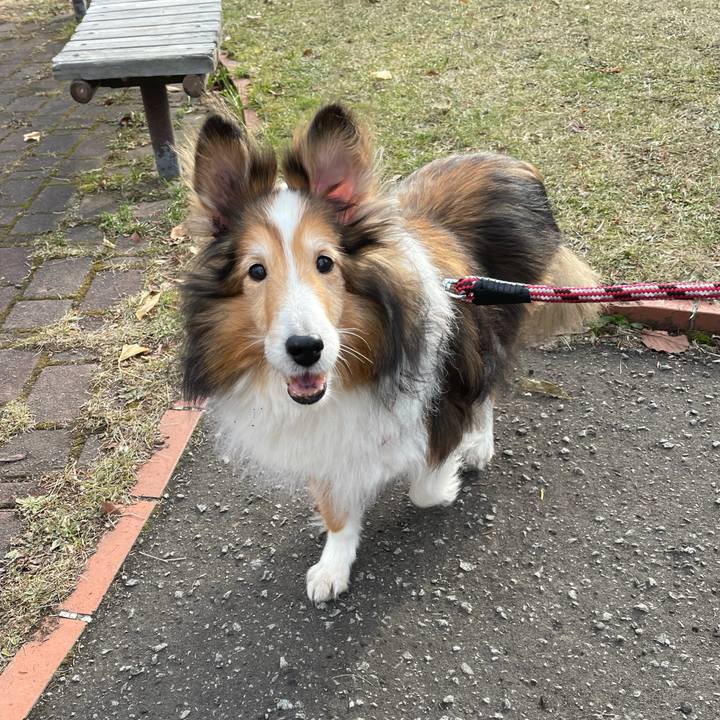 Ad9fd867 b535 4b17 ac1e 959cb4e9285c 1607665999903