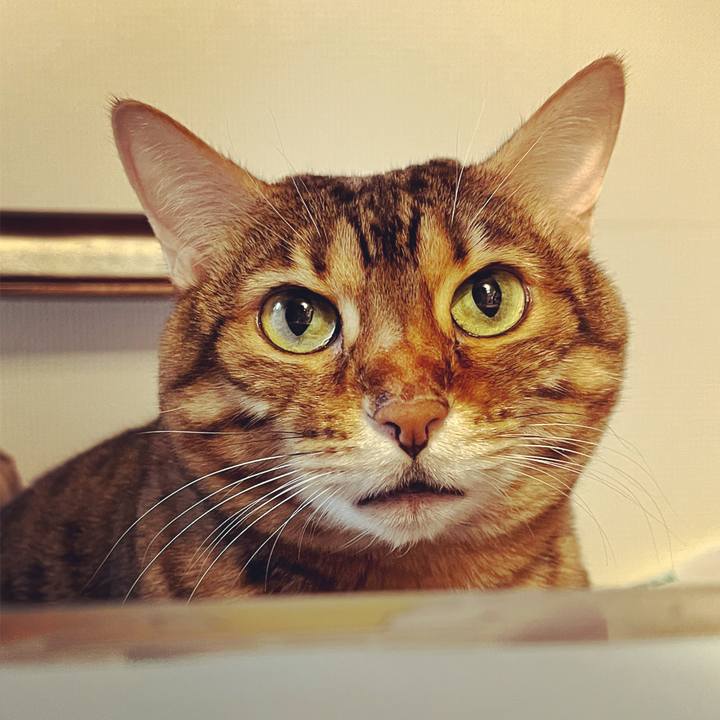 Ada00793 3e19 4574 9fb1 6507ff271ac4 1637544009584