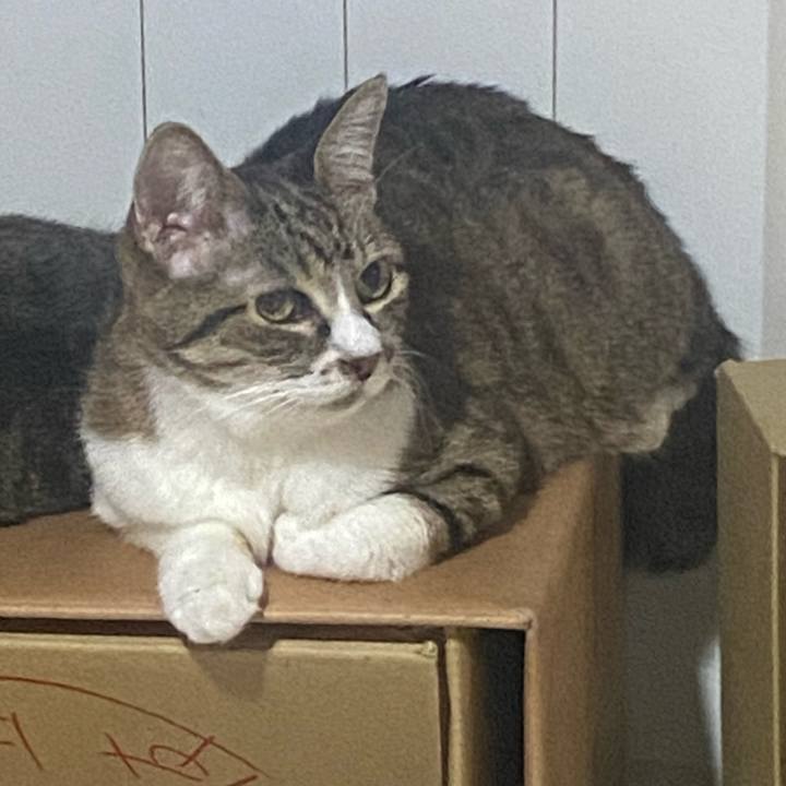 Ada02446 c589 4fe2 8124 782035aa8572 1722782773668