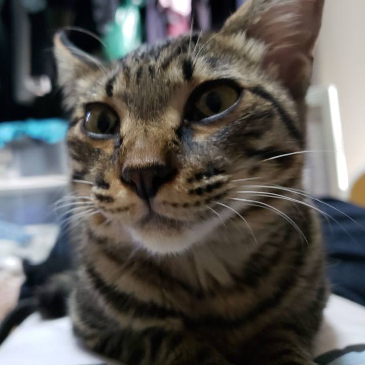 Ada05411 c397 4d06 ad84 475803ea044e 1542574833816