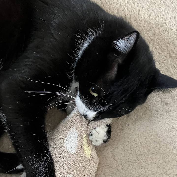 Ada080ce f228 4638 86b4 cbb7983edcf9 1712634945235