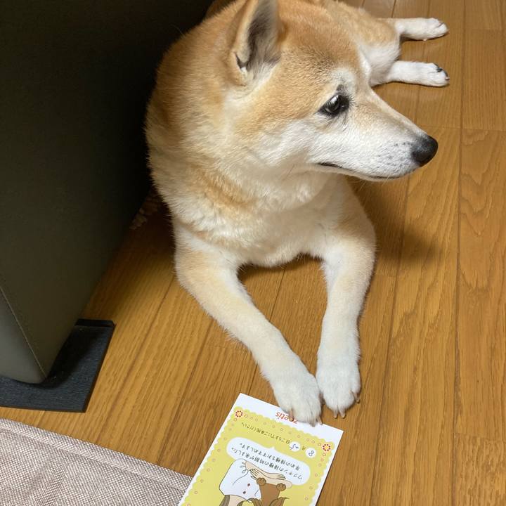 Ada087e8 5cbf 4876 891b 5aa5aec30ba9 1628168888858