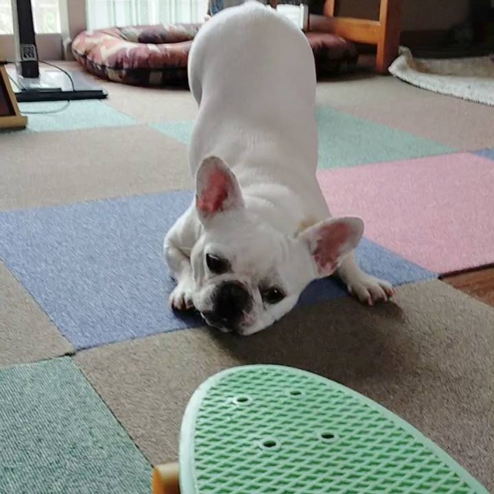 Ada093e3 37c8 4f03 80bb fa2e338a1e8d 1657328260148