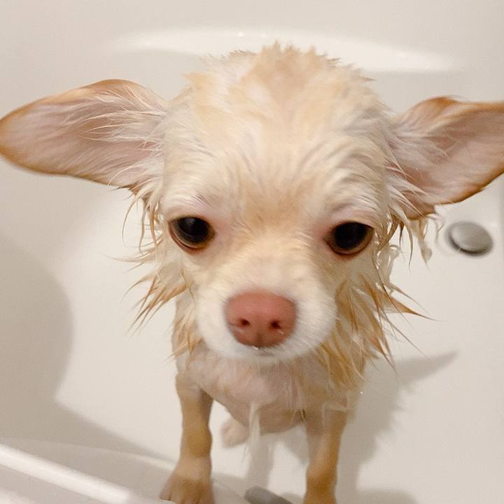 Ada0d42f 09a9 4e55 abea d0d2fd6f9ecc 1616211597587